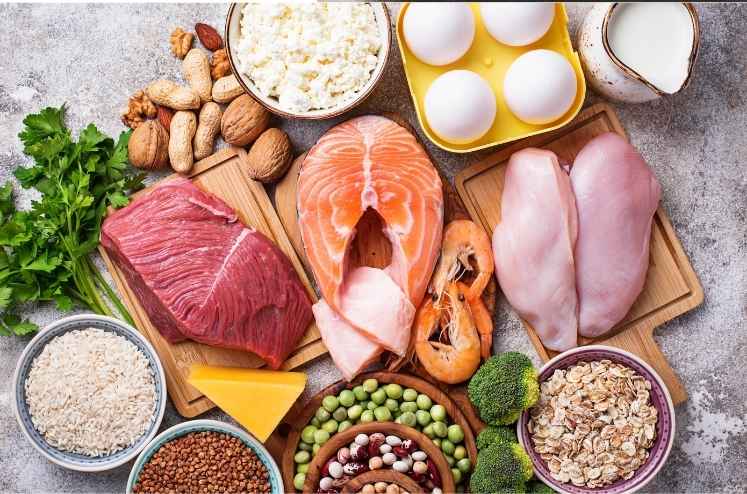Protein